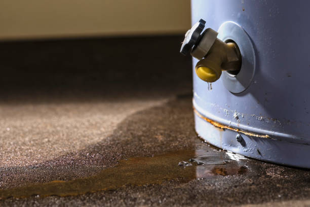 Best Flood damage cleanup  in Dock Junction, GA