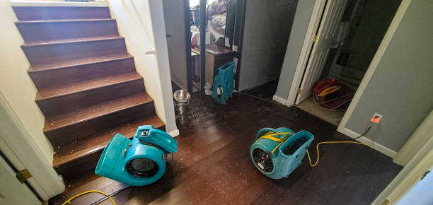 Best Residential water damage restoration  in Dock Junction, GA