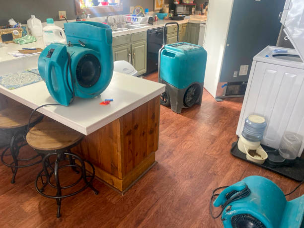 Best Water damage contractors near me  in Dock Junction, GA