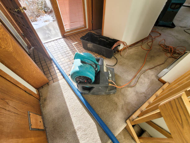 Best Water damage cleanup near me  in Dock Junction, GA