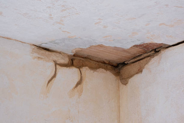 Best Water damage restoration near me  in Dock Junction, GA