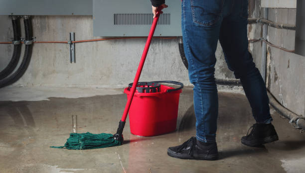 Best 24-hour water damage restoration  in Dock Junction, GA