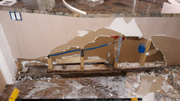 Best Water damage contractors near me  in Dock Junction, GA