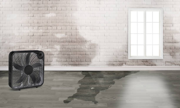  Dock Junction, GA Water damage restoration Pros