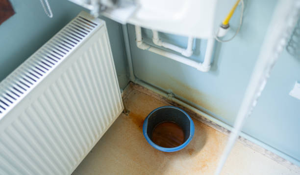 Best Sewage cleanup and water damage restoration  in Dock Junction, GA