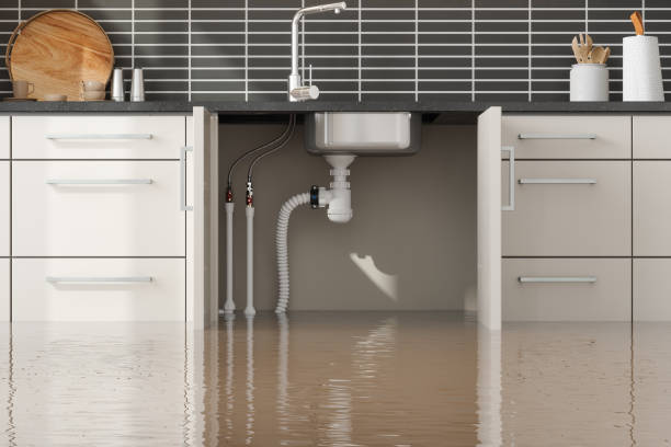 Best Flood damage cleanup  in Dock Junction, GA