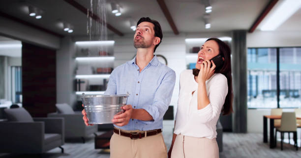 Best Professional water damage repair  in Dock Junction, GA