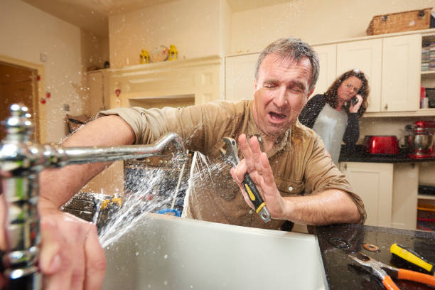 Best Local water damage restoration  in Dock Junction, GA